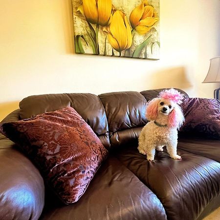 Beautiful Apartment With Pools, Playground And Paddle Tennis - Family Friendly And Near Vithas Hospital - Free Parking In Garage Benalmádena Esterno foto