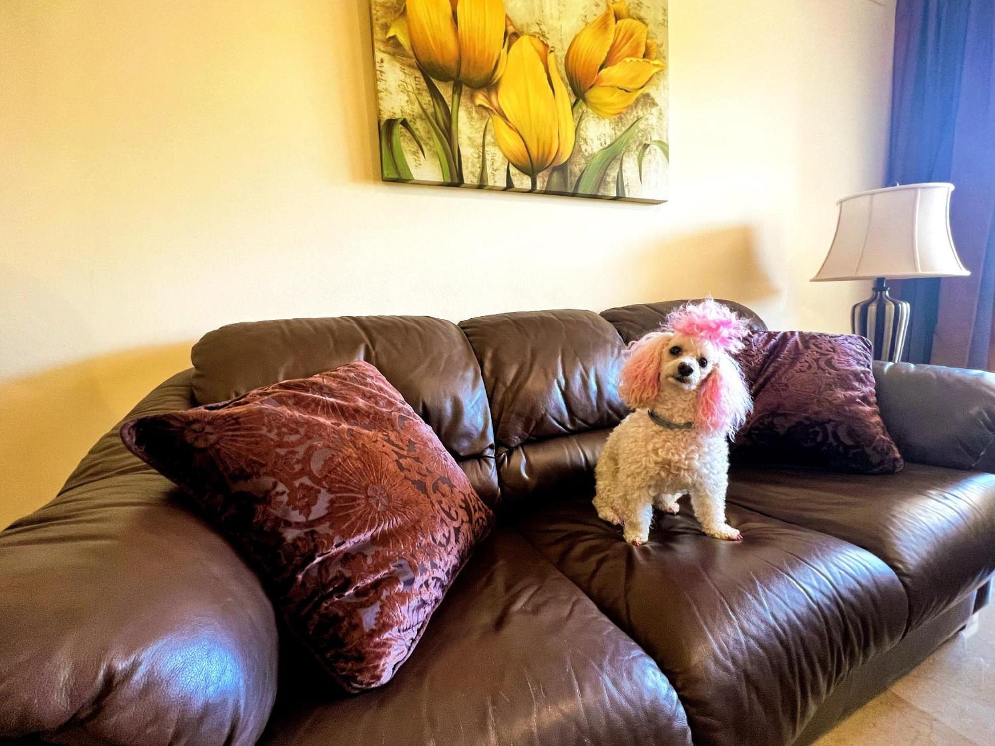 Beautiful Apartment With Pools, Playground And Paddle Tennis - Family Friendly And Near Vithas Hospital - Free Parking In Garage Benalmádena Esterno foto